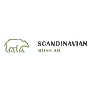 reindeer moss for sale
